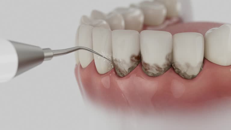 Reliable Dental contractor in Wilmington, NC by Dentist Open Now